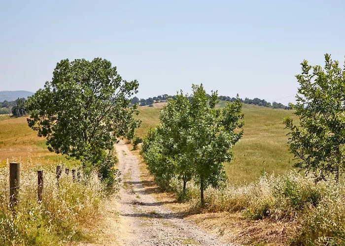 Lantgård Montecrespini *